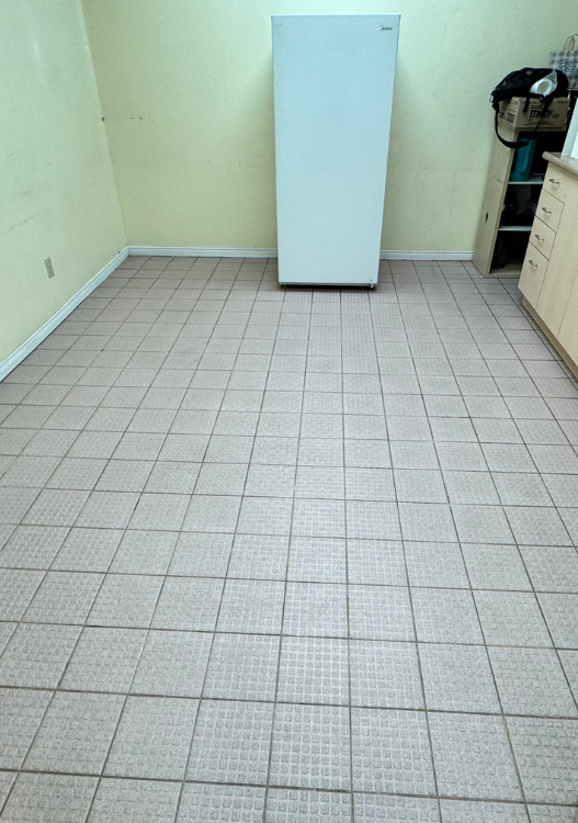 Floor Care 527x750 (3)